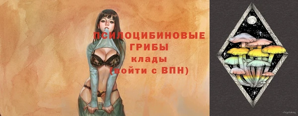 спайс Богданович