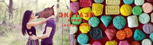 шишки Богородицк