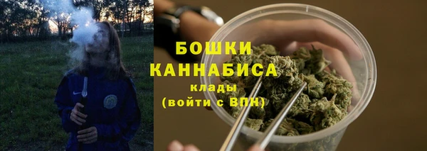 спайс Богданович