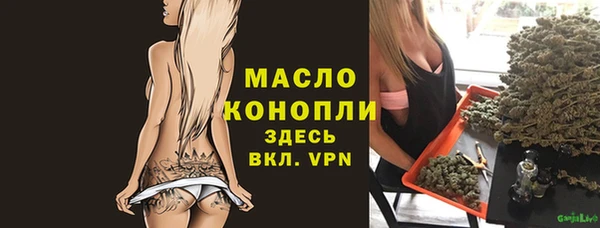 шишки Богородицк