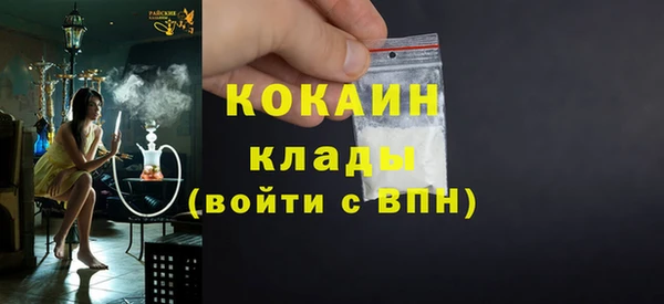 спайс Богданович