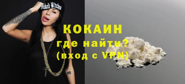 спайс Богданович