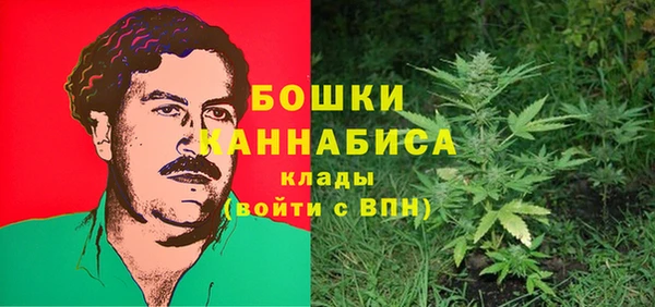 спайс Богданович