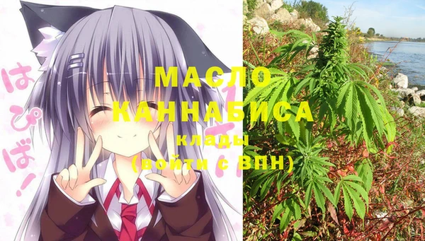 шишки Богородицк