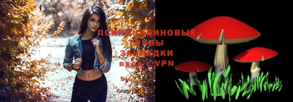 спайс Богданович