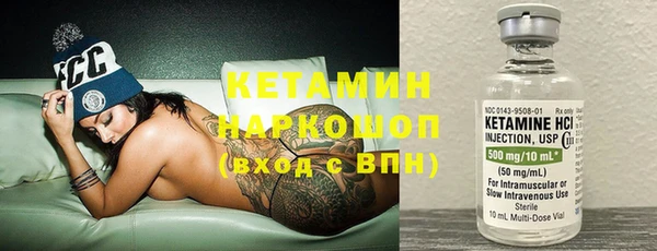 шишки Богородицк